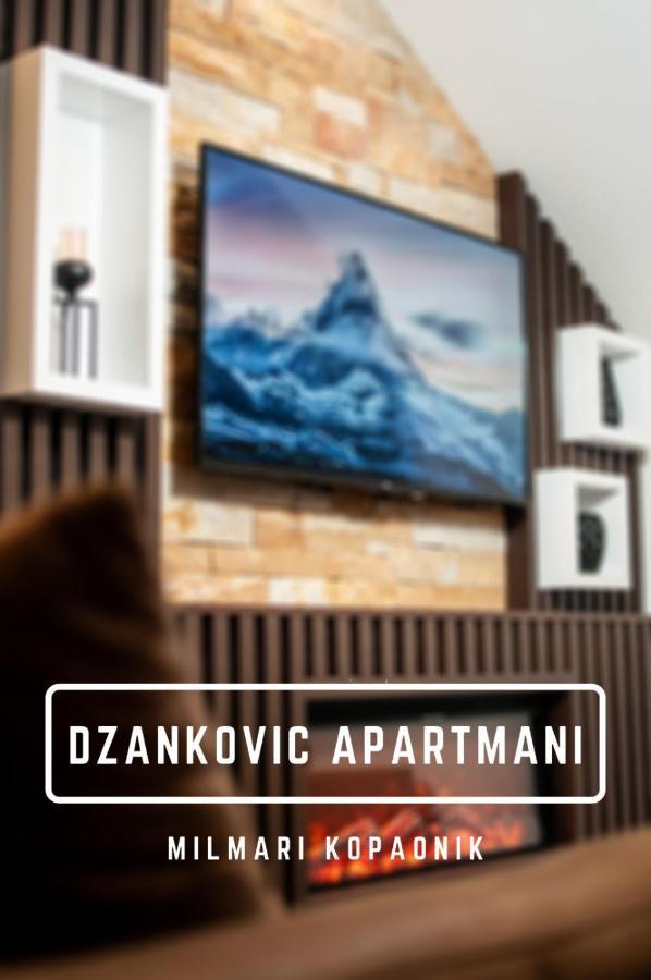 Apartmani Dzankovic コパオニク エクステリア 写真